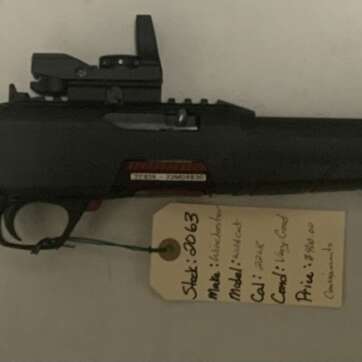 Winchester Wildcat / Stock# 2063