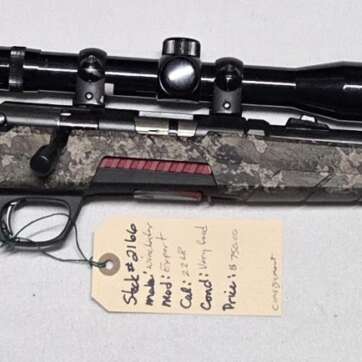 Winchester 22LR #2166