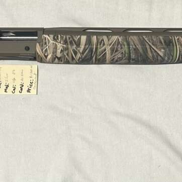 Browning 12ga #2270