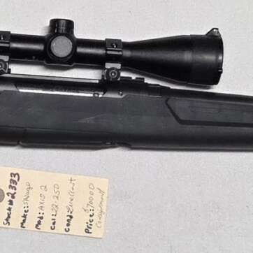 Savage 22-250 #2333