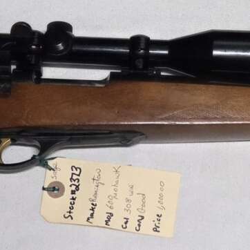 Remington 308 win #2373
