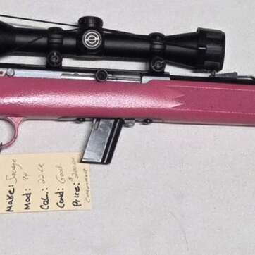 Savage 22LR #2391