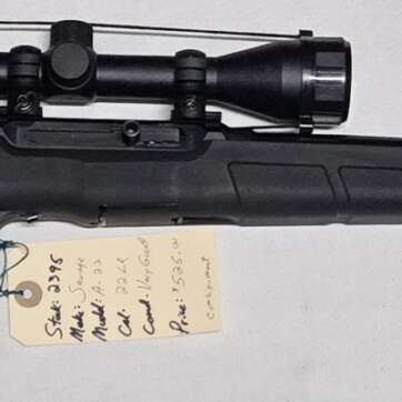 Savage 22LR #2395