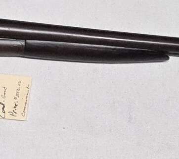 TParker 12ga #2398