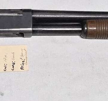 Springfield 12ga #2404